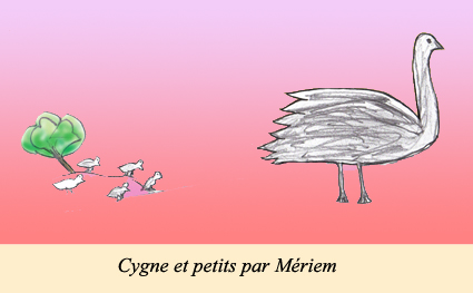 Cygne