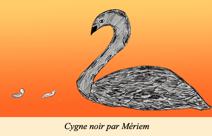 Cygne